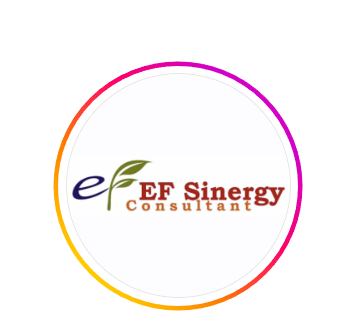 FINANCE STAFF di EF Sinergy Consultant – FINANCE STAFF di EF Sinergy Consultant –